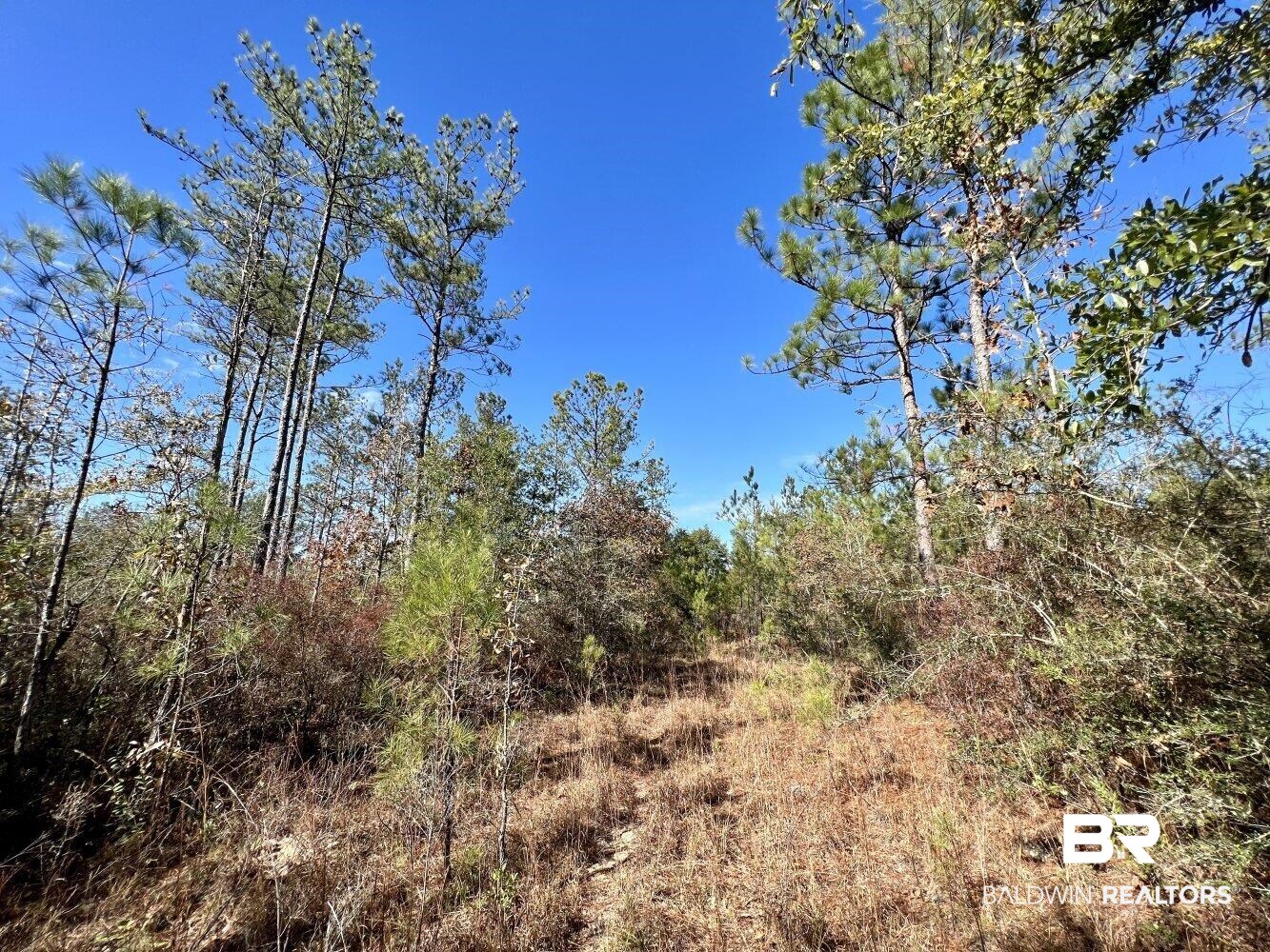 0 C C Road Chunchula, AL 36521 - Photo 7 of 27