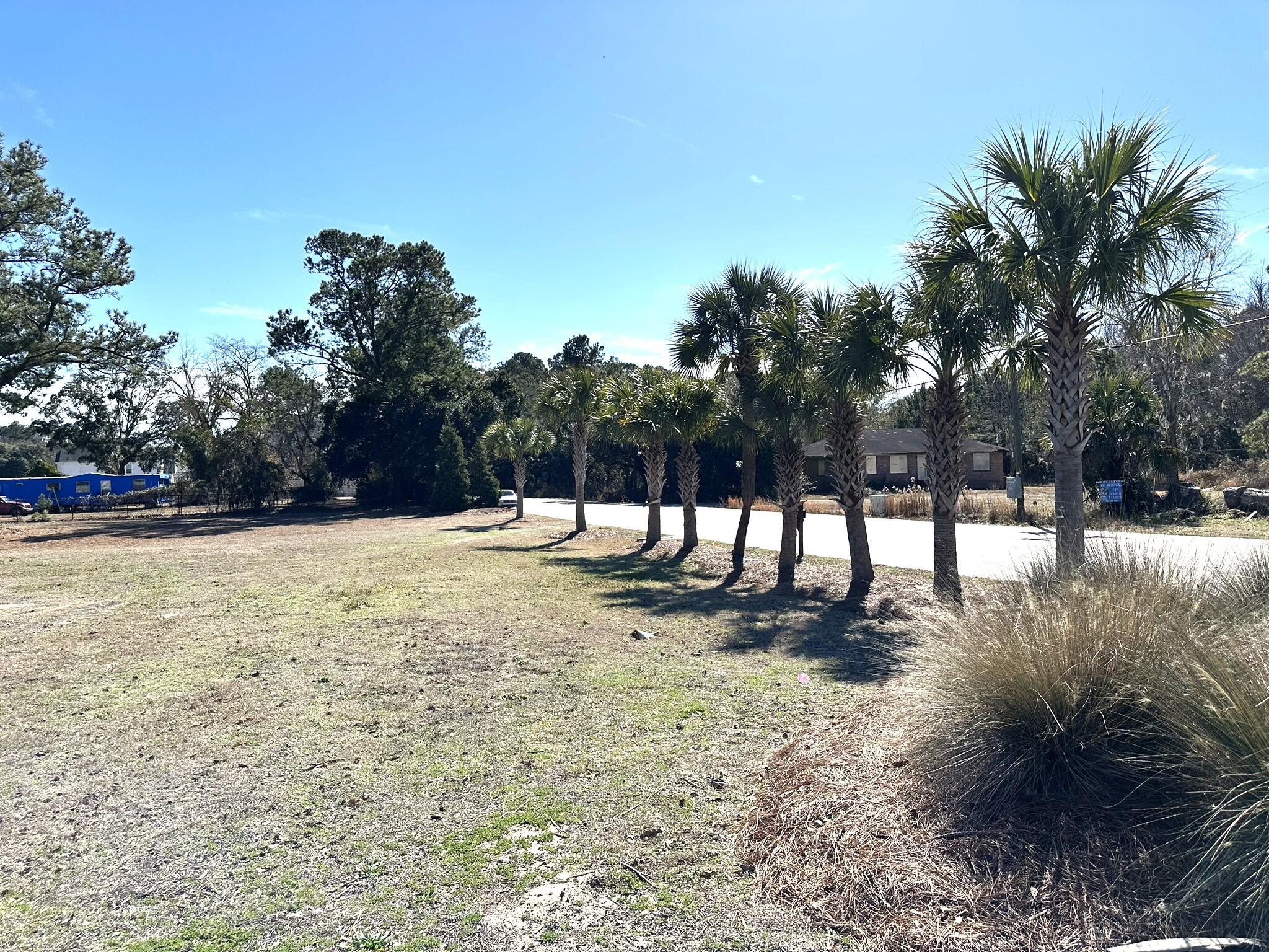 0 North Highway 17 Awendaw, SC 29429 - Photo 2 of 8 Bee Hive Rd. on Right Side of Lot