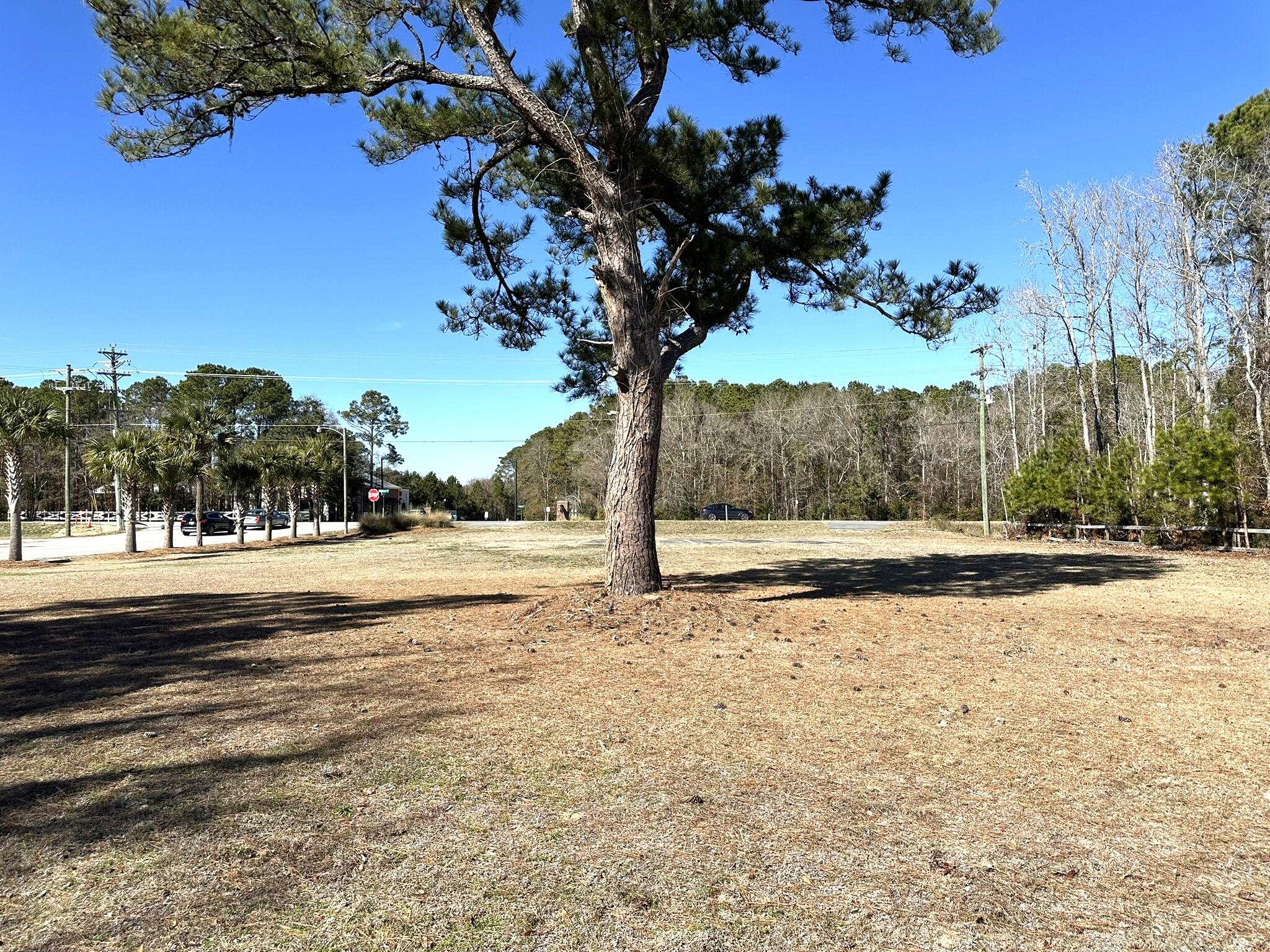 0 North Highway 17 Awendaw, SC 29429 - Photo 7 of 8 Center of Lot