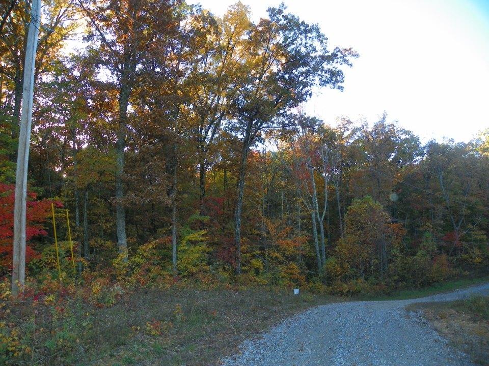 8 Green Forest Road, Unit LOT 8 Dunlap, TN 37327 - Photo 1 of 5 150331_4230727099981_691561_n