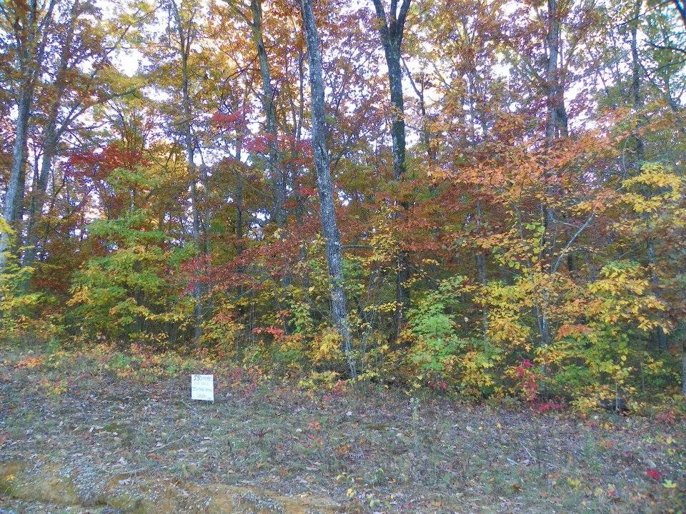 8 Green Forest Road, Unit LOT 8 Dunlap, TN 37327 - Photo 3 of 5 10302_4230727459990_325905189_n