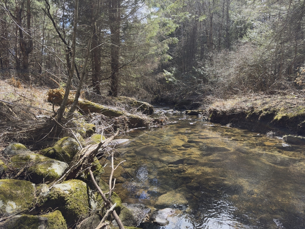 151 Ashfield Road Williamsburg, MA 01096 - Photo 1 of 13