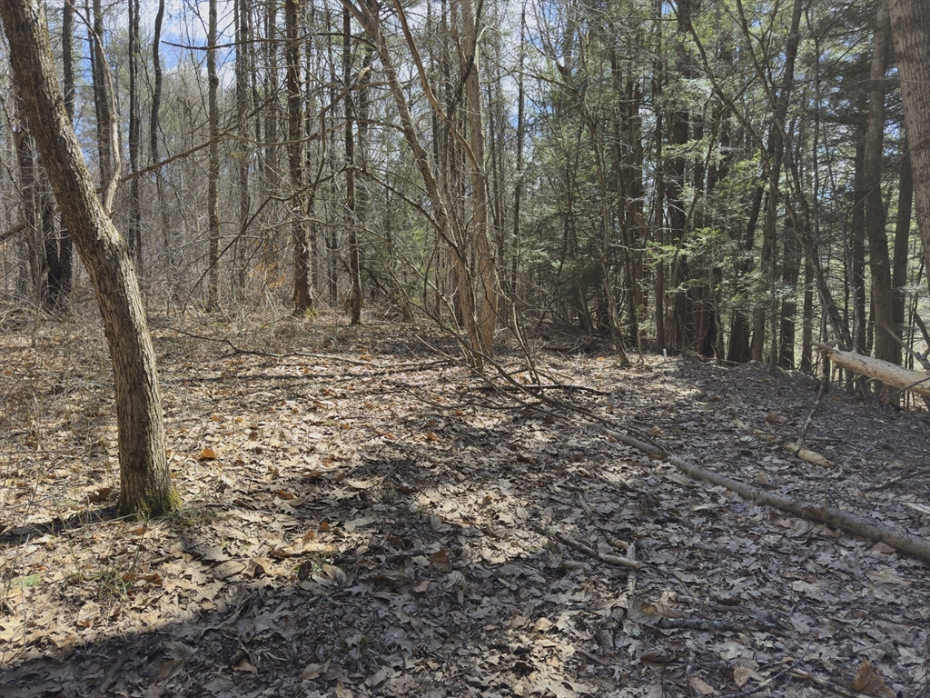 151 Ashfield Road Williamsburg, MA 01096 - Photo 12 of 13