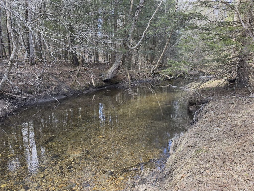 151 Ashfield Road Williamsburg, MA 01096 - Photo 4 of 13