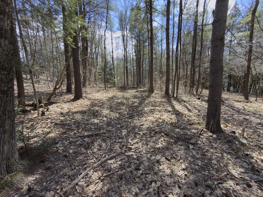 151 Ashfield Road Williamsburg, MA 01096 - Photo 5 of 13