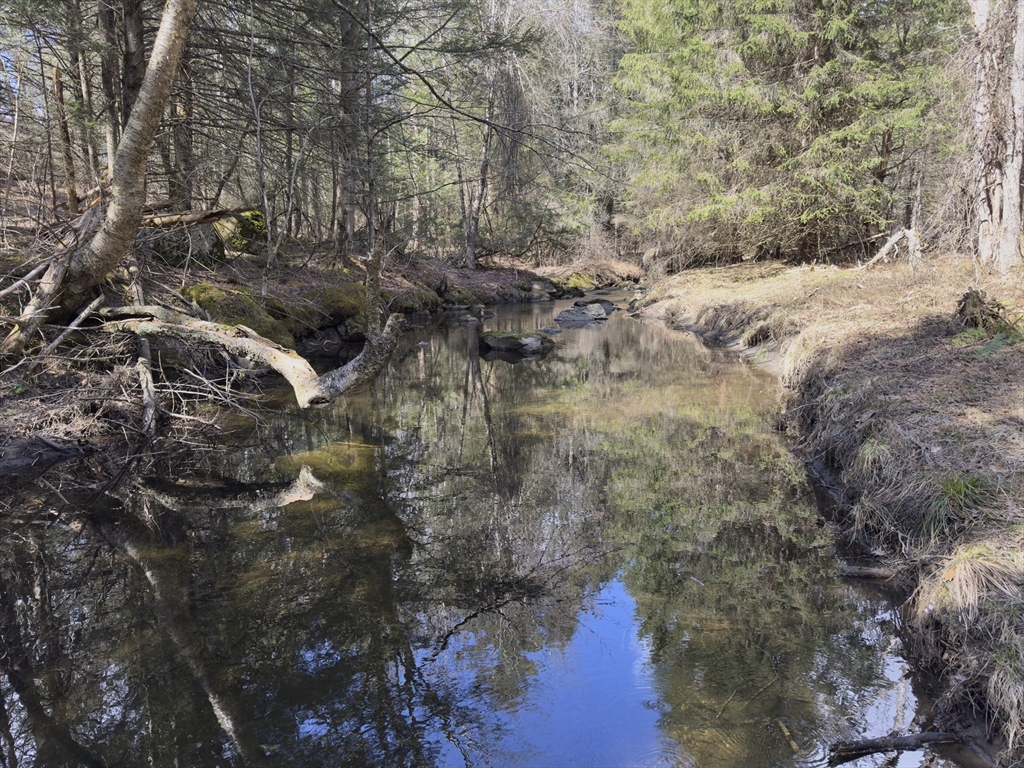 151 Ashfield Road Williamsburg, MA 01096 - Photo 6 of 13