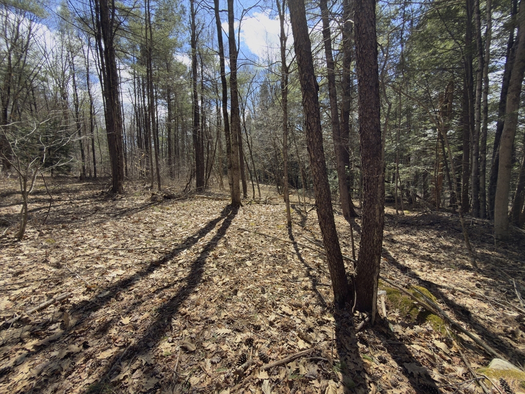 151 Ashfield Road Williamsburg, MA 01096 - Photo 7 of 13