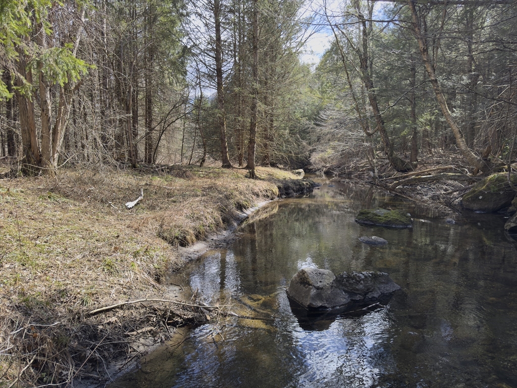 151 Ashfield Road Williamsburg, MA 01096 - Photo 9 of 13