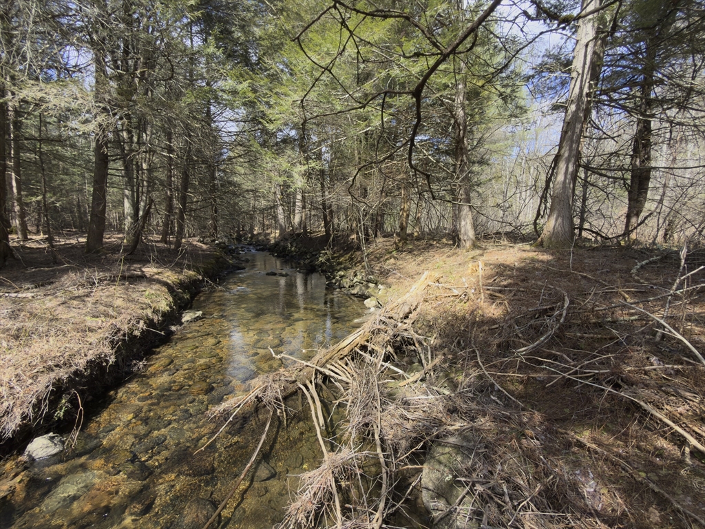 151 Ashfield Road Williamsburg, MA 01096 - Photo 10 of 13