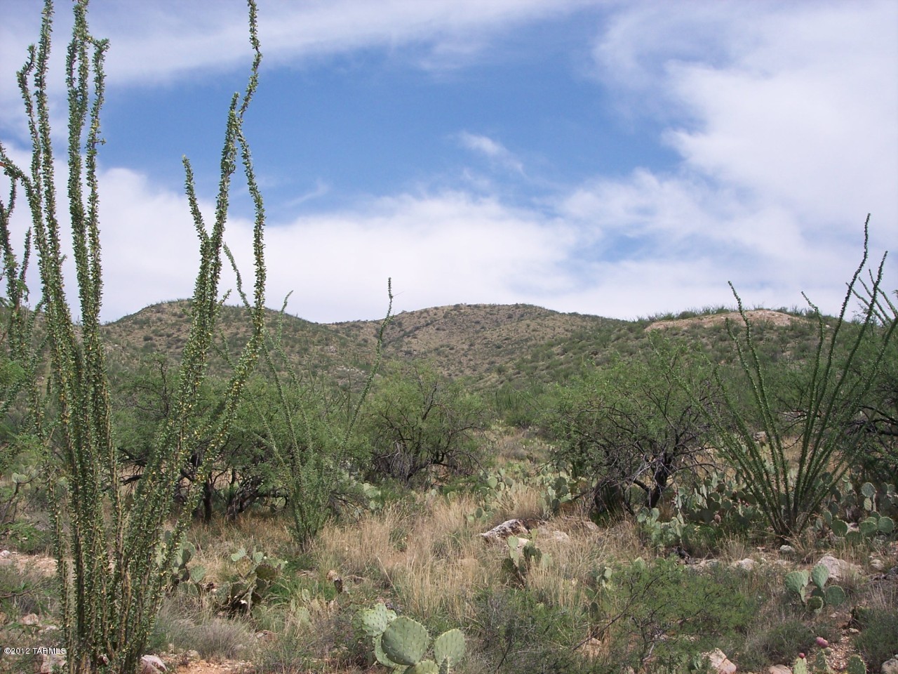 Gila Monster Way Vail, AZ 85641 - Photo 2 of 6