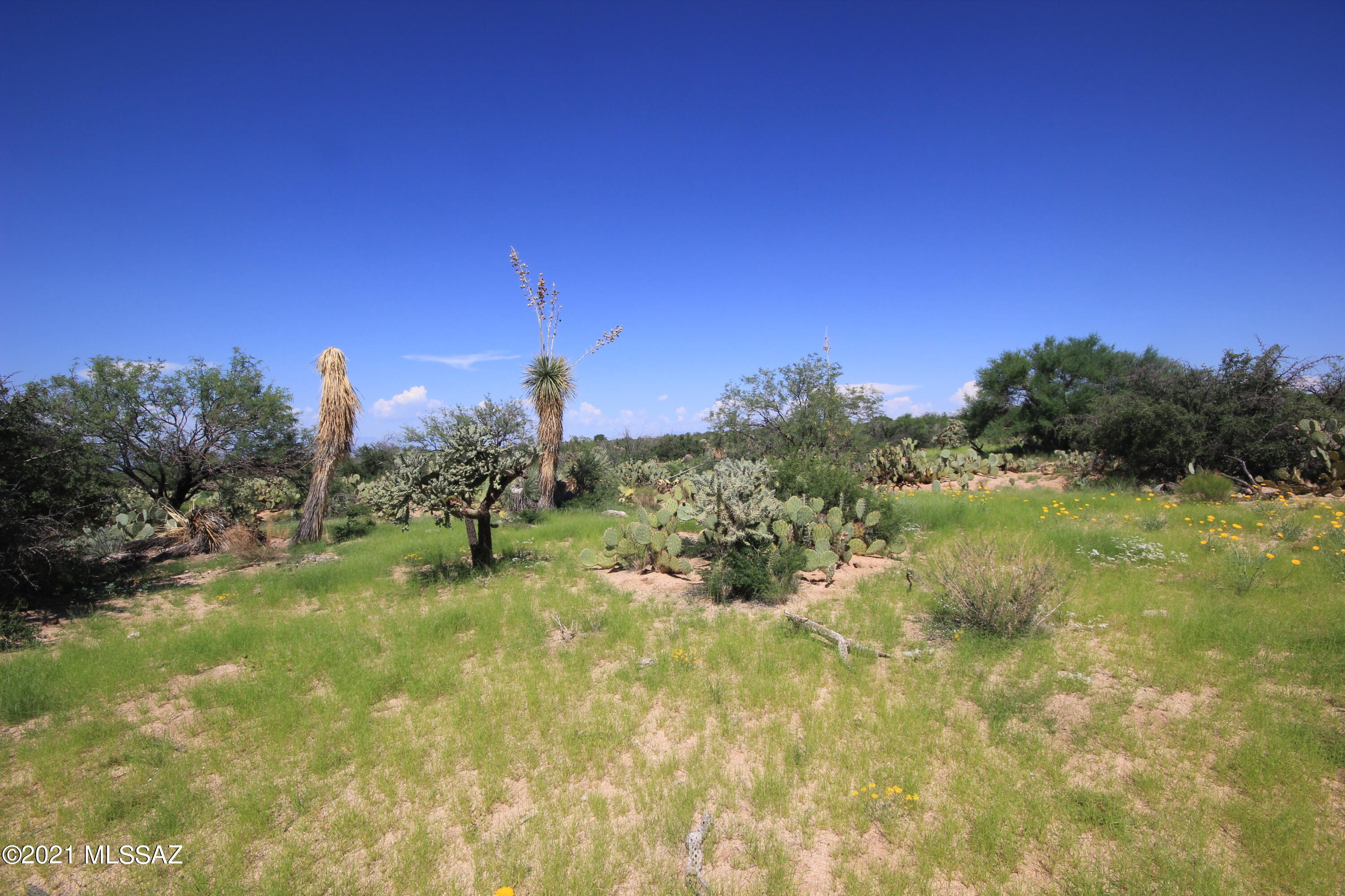 12911 Moeur Road, Unit 139 Tucson, AZ 85736 - Photo 6 of 7 Gallery Image 6