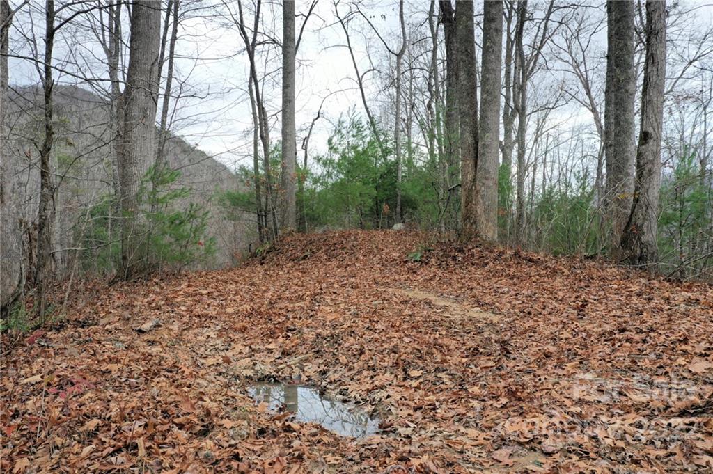 Lot 10 Cedar Cliff Road Tuckasegee, NC 28783 - Photo 2 of 14
