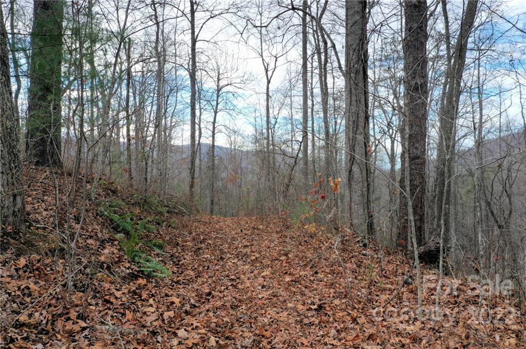 Lot 10 Cedar Cliff Road Tuckasegee, NC 28783 - Photo 3 of 14 a view of backyard with tree
