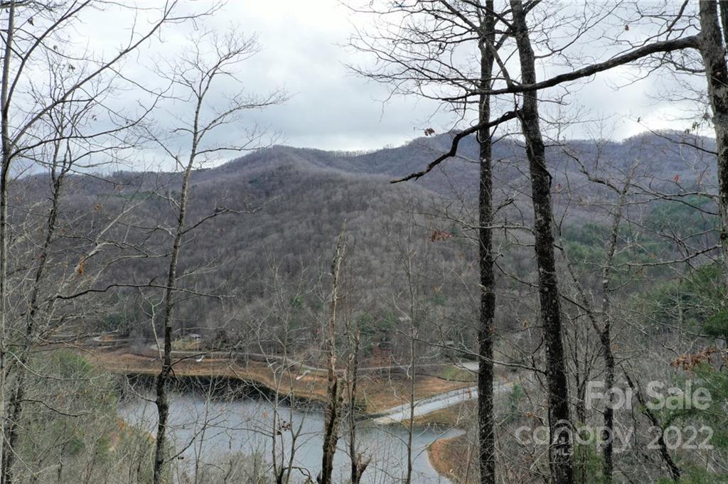 Lot 10 Cedar Cliff Road Tuckasegee, NC 28783 - Photo 6 of 14 a backyard of a house with lots of green space