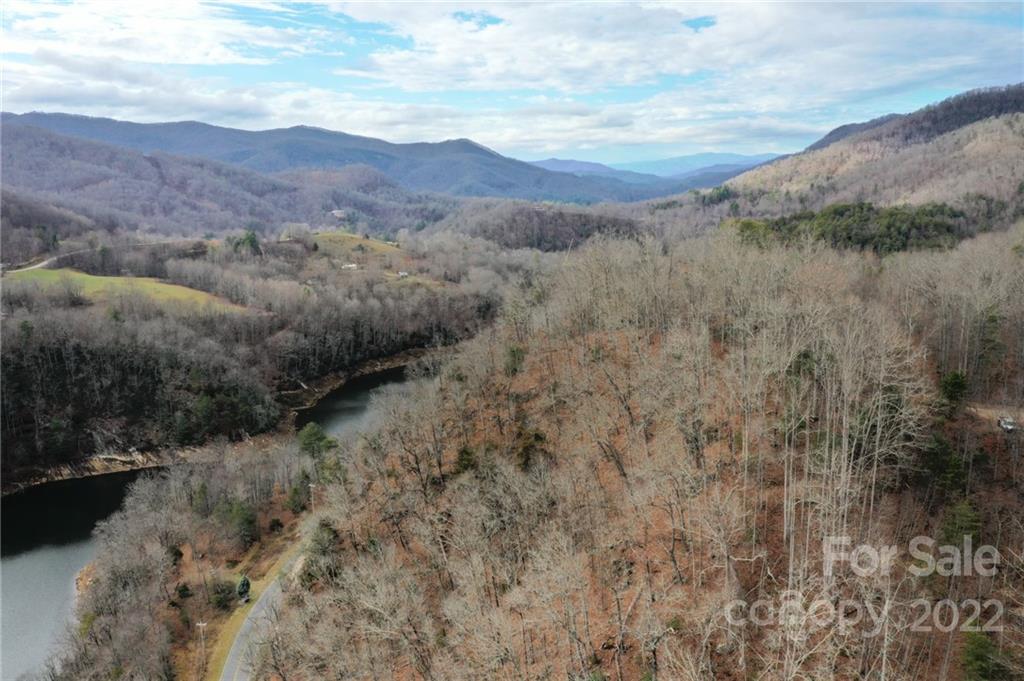Lot 10 Cedar Cliff Road Tuckasegee, NC 28783 - Photo 8 of 14 a view of a forest with mountains in the background