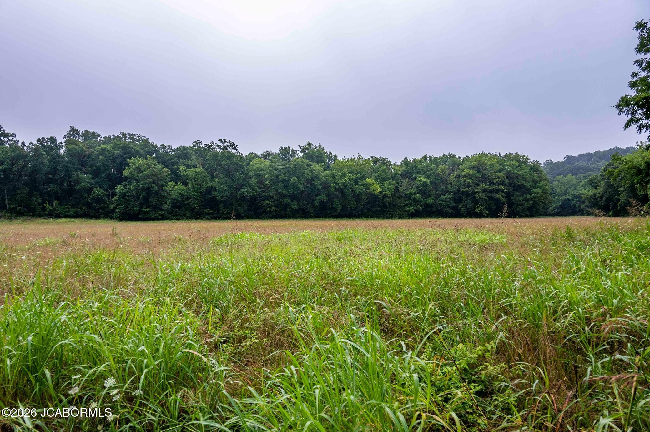 Tbd Talley Road Hartsburg, MO 65039 - Photo 43 of 106
