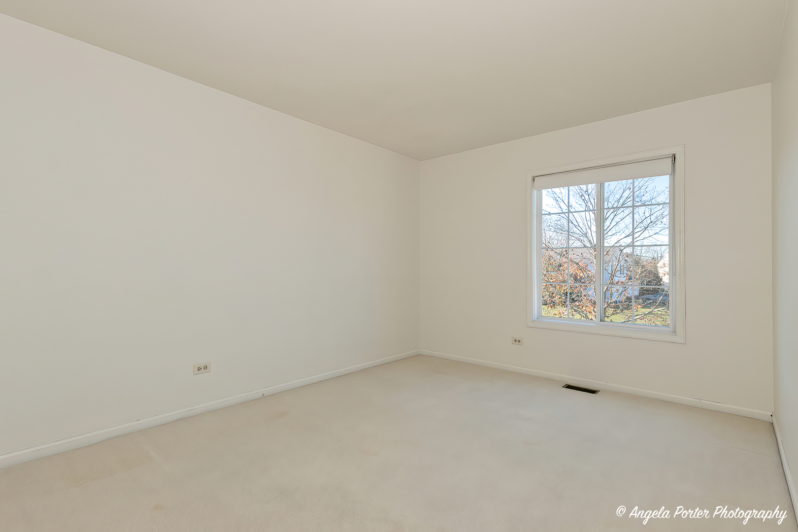 1305 Westport Ridge Crystal Lake, IL 60014 - Photo 18 of 31 an empty room with a window
