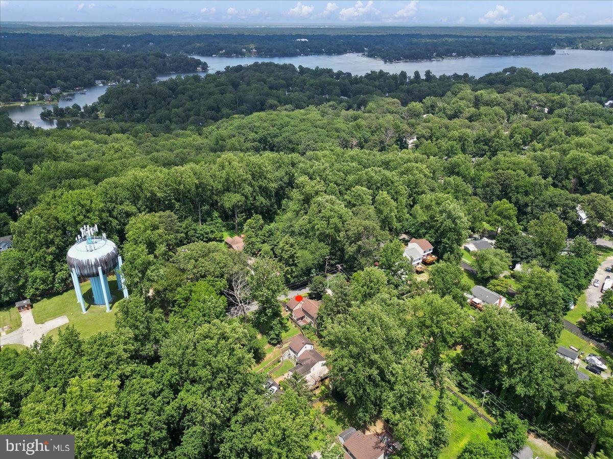 425 Mountain Road Crownsville, MD 21032 - Photo 59 of 69 a view of a garden with a bench