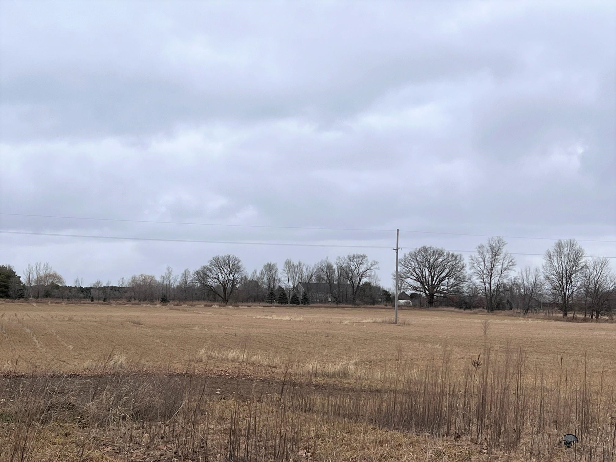 0 Krouse Road Ovid, MI 48866 - Photo 4 of 4