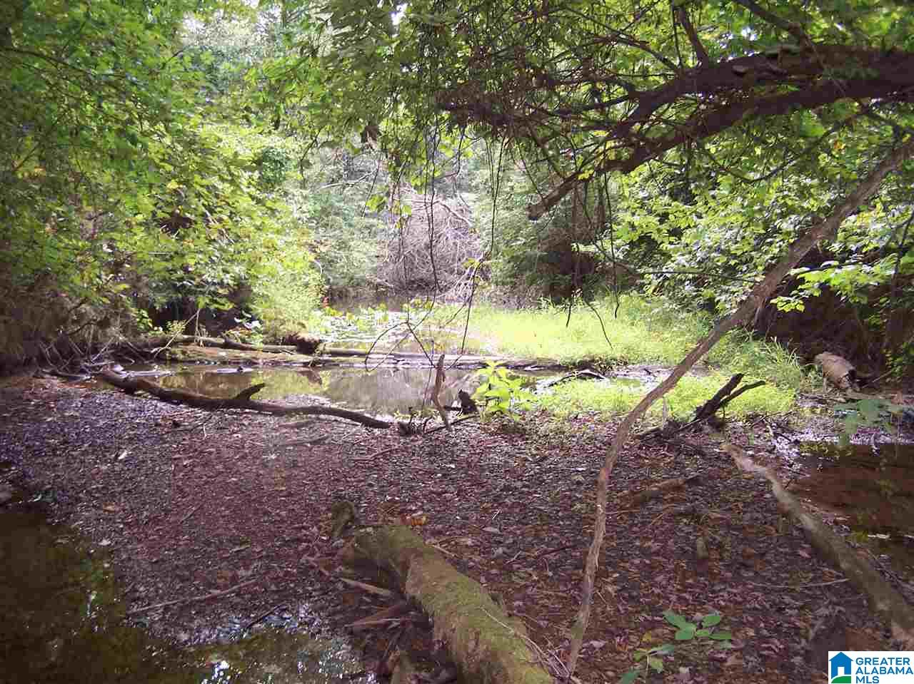 0 Jackson Trail, Unit 140 ACRES Altoona, AL 35952 - Photo 23 of 50