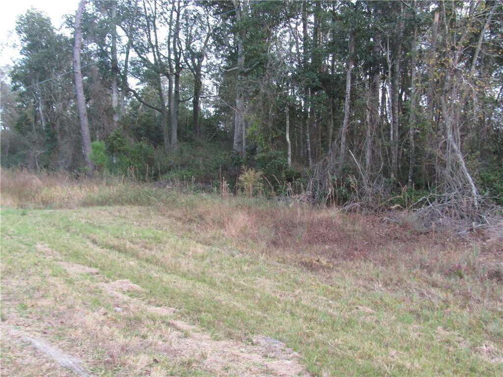 Lot 22 Longford Road, Unit 22 Jesup, GA 31546 - Photo 1 of 1 Gallery Image 1