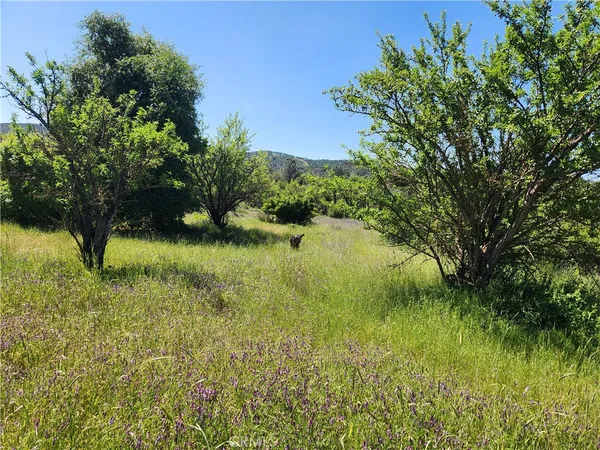 $98,000 | 14241 McBride Court, Clearlake Oaks, CA 95423