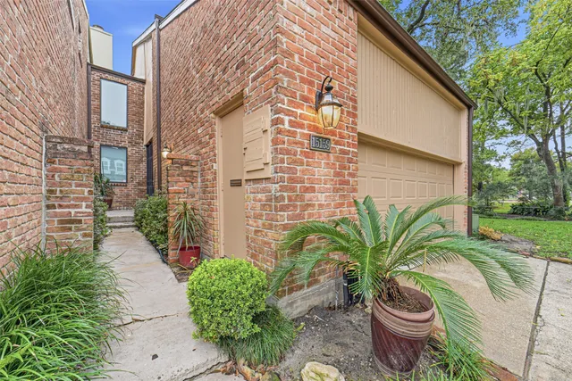 a potted plant sitting in front of a house