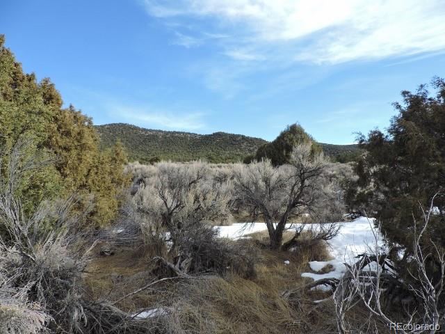 4263 Ehrenclou Road Fort Garland, CO 81133 - Photo 11 of 15 Gallery Image 11
