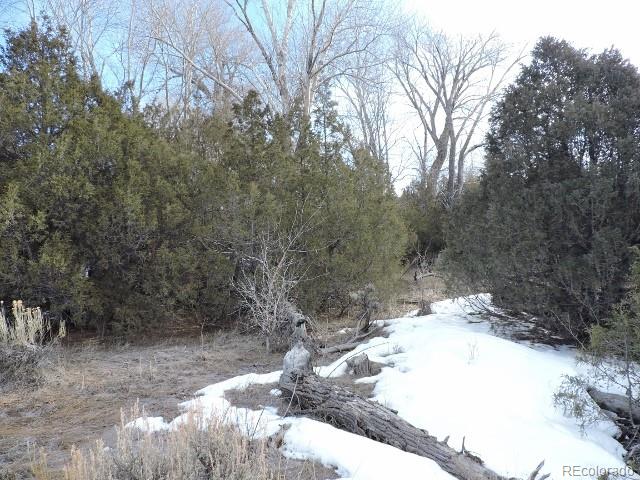 4263 Ehrenclou Road Fort Garland, CO 81133 - Photo 9 of 15 Gallery Image 9