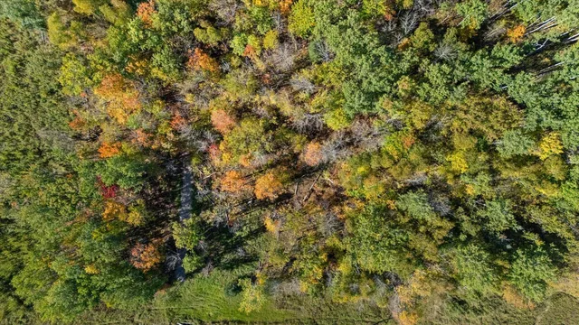 $19,900 | 29606 East Bass Lake Road, Grand Rapids, MN 55744