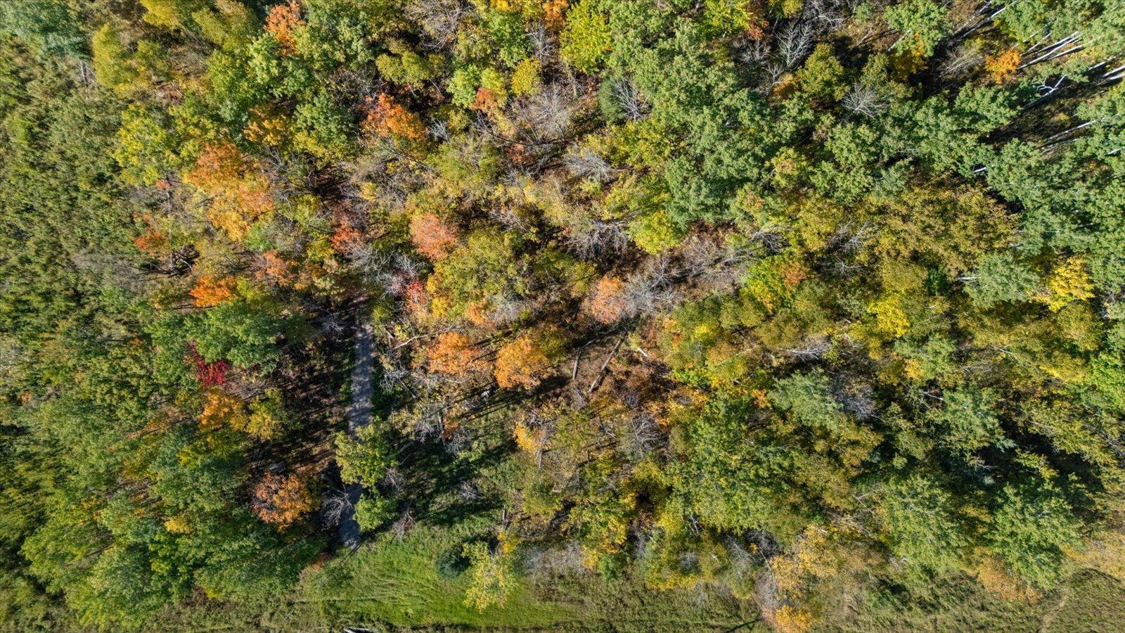 29606 East Bass Lake Road Grand Rapids, MN 55744 - Photo 5 of 9