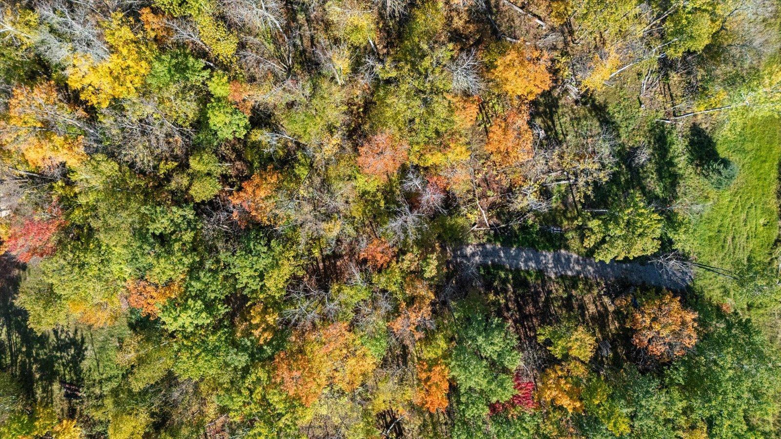 29606 East Bass Lake Road Grand Rapids, MN 55744 - Photo 6 of 9