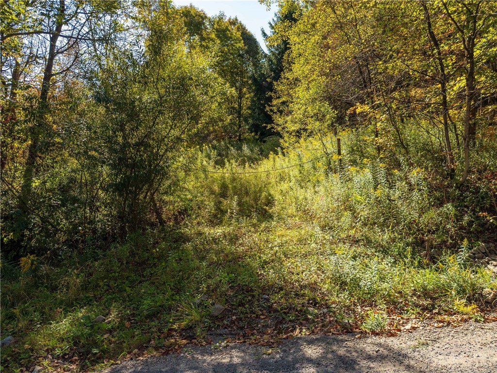 Reservoir Hill Road Norwich, NY 13815 - Photo 34 of 50
