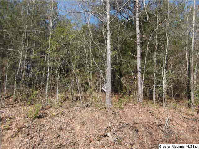 50 County Road, Unit 4 Leesburg, AL 35983 - Photo 4 of 5 Gallery Image 4