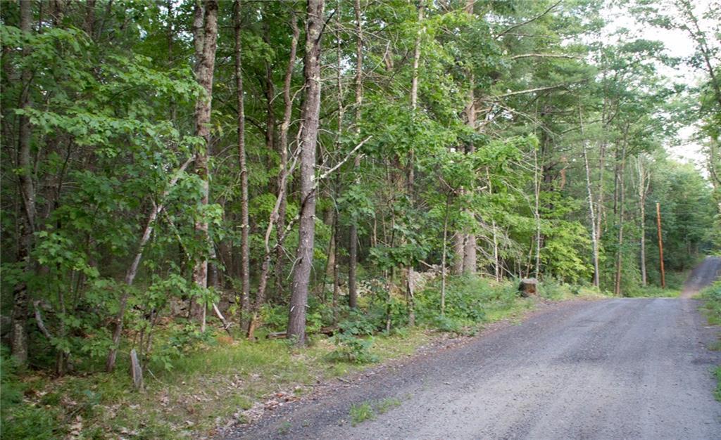 -lot A) Roberts Pond Road Lyman, ME 04002 - Photo 2 of 3 Photo