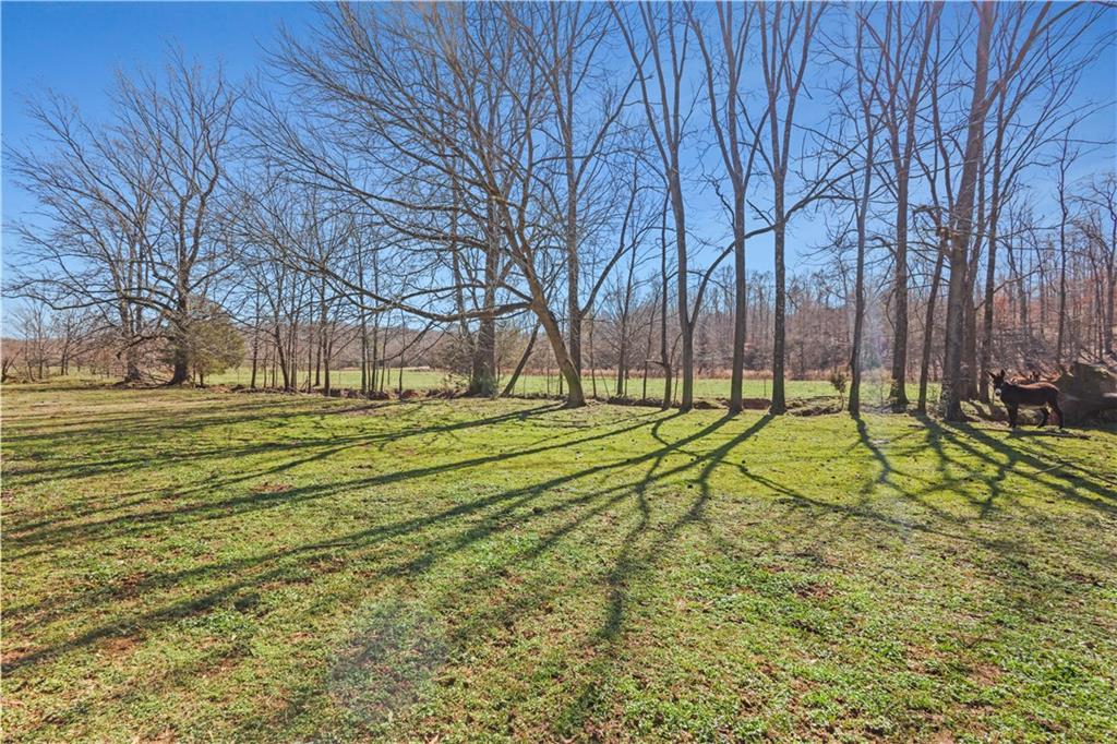 0 New Kings Bridge Road Athens, GA 30607 - Photo 22 of 30 a view of a tennis ground with large trees
