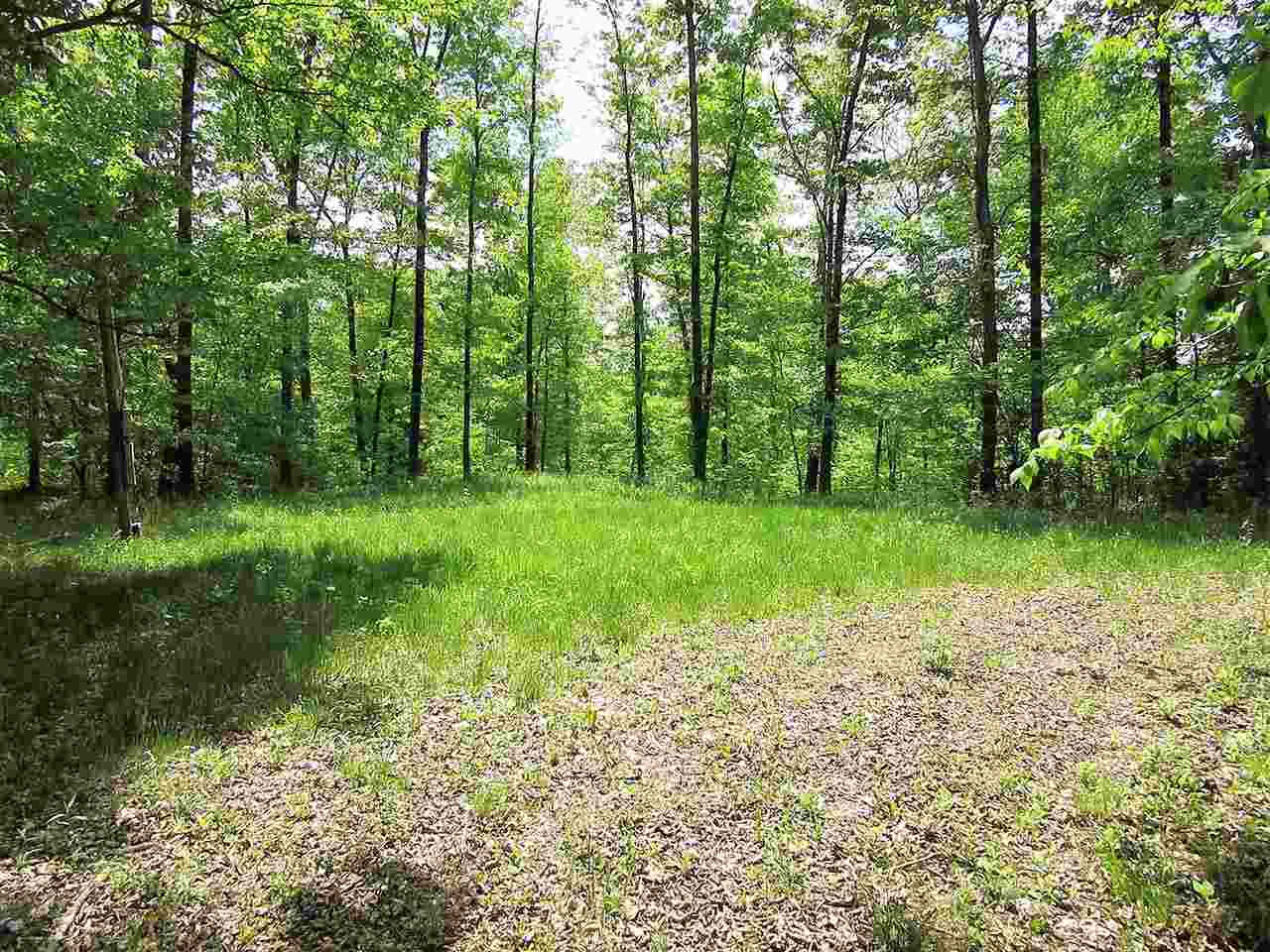 11808 Williams Road Williams, IN 47470 - Photo 3 of 9