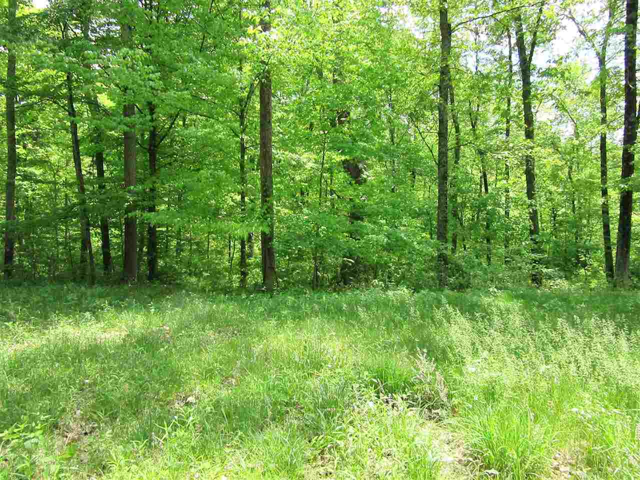 11808 Williams Road Williams, IN 47470 - Photo 6 of 9