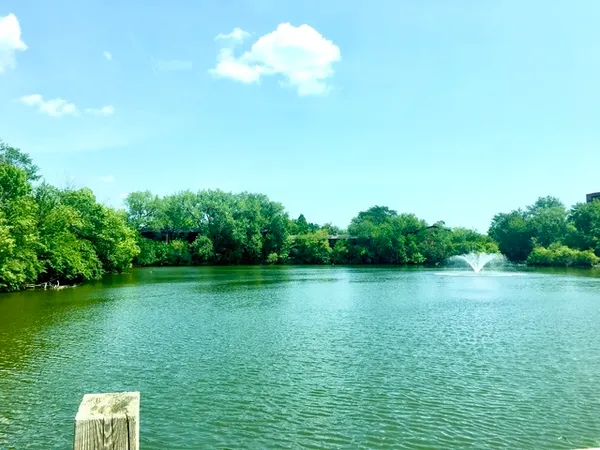 $1,700 | 6020 Oakwood Drive, Unit 3J, Lisle, IL 60532