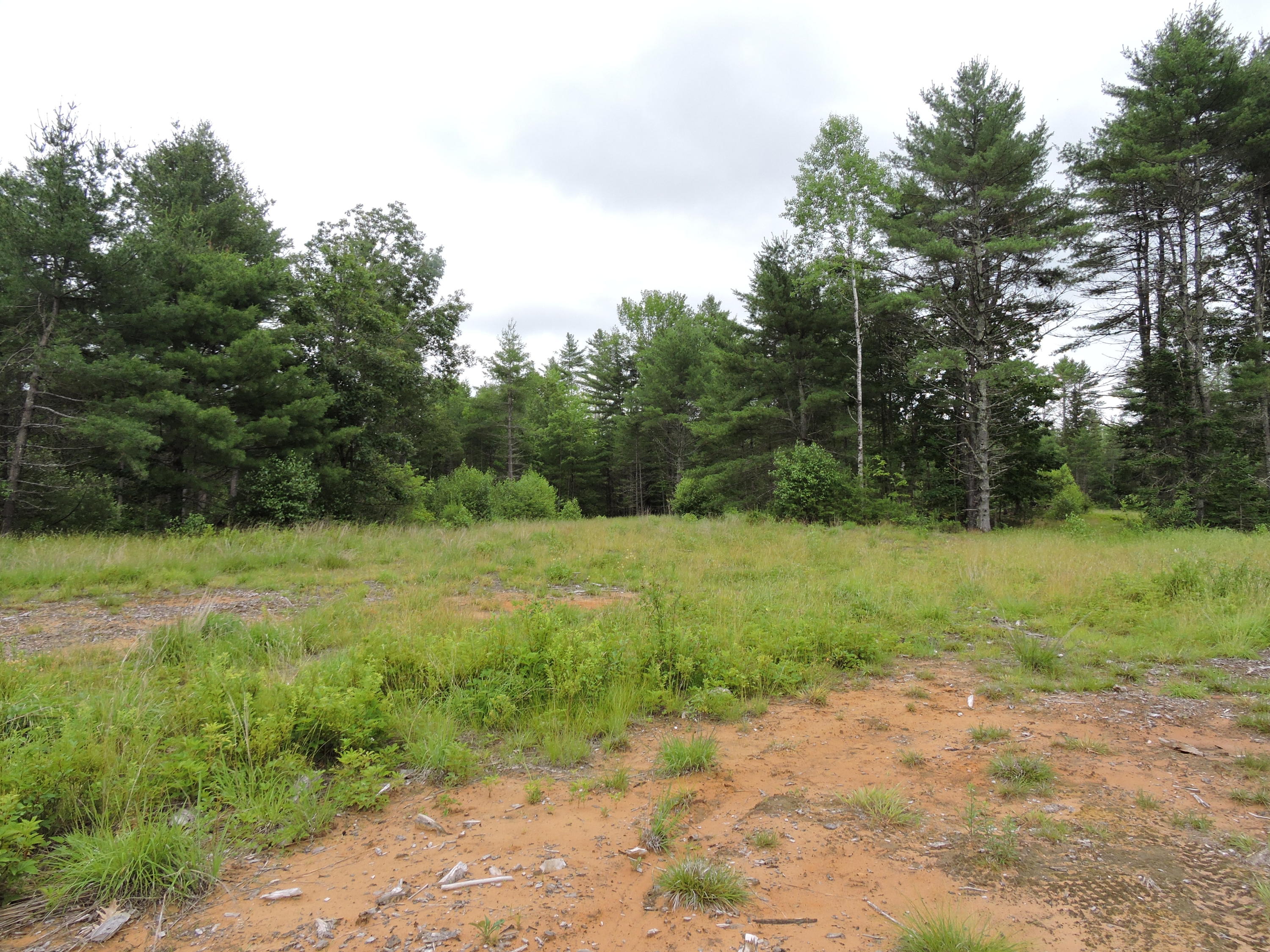 0 Tuttle Road Pownal, ME 04069 - Photo 5 of 8 DSCN5594