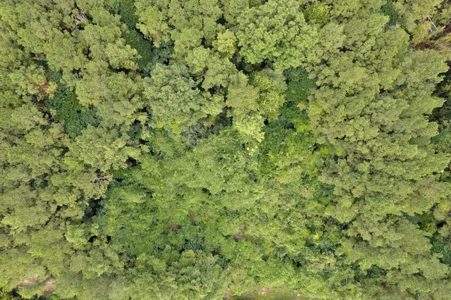 $399,900 | 2007 Hillside Drive, Magnolia, MS 39652