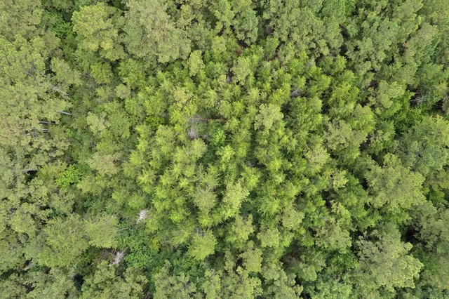 $399,900 | 2007 Hillside Drive, Magnolia, MS 39652