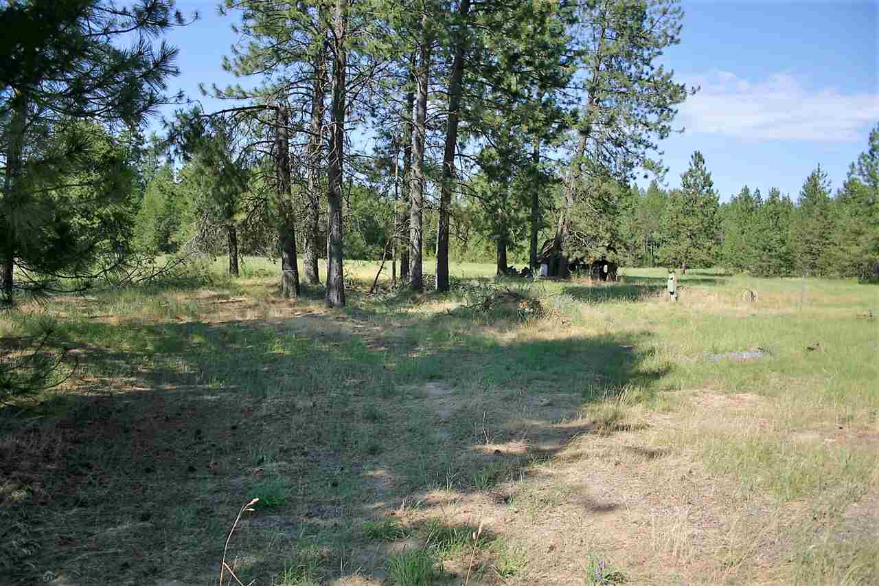 8115 East Valley Road Elk, WA 99009 - Photo 1 of 5
