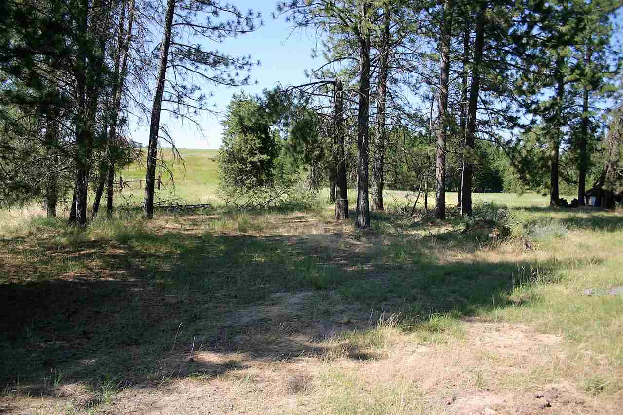 8115 East Valley Road Elk, WA 99009 - Photo 2 of 5