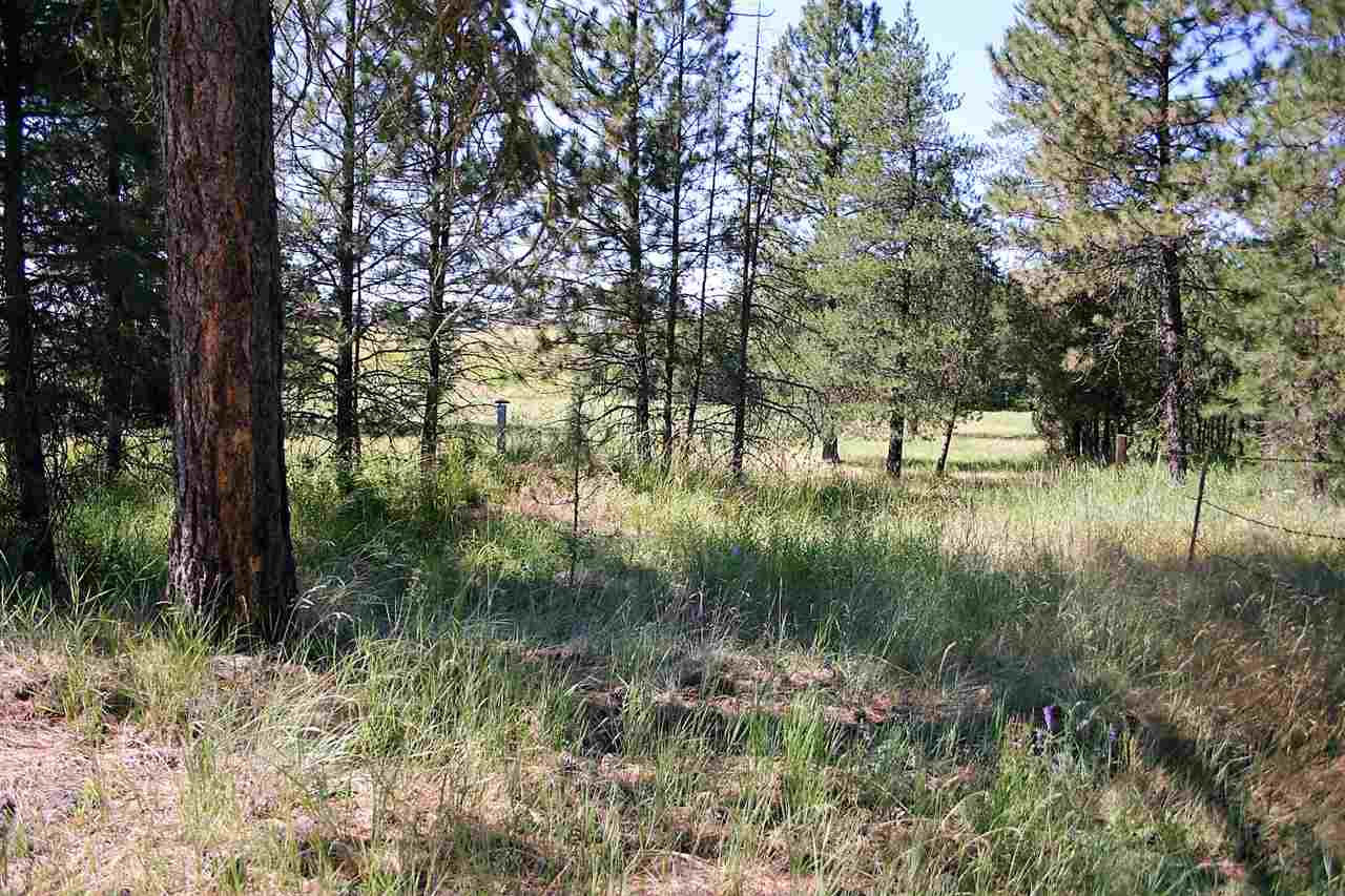 8115 East Valley Road Elk, WA 99009 - Photo 3 of 5