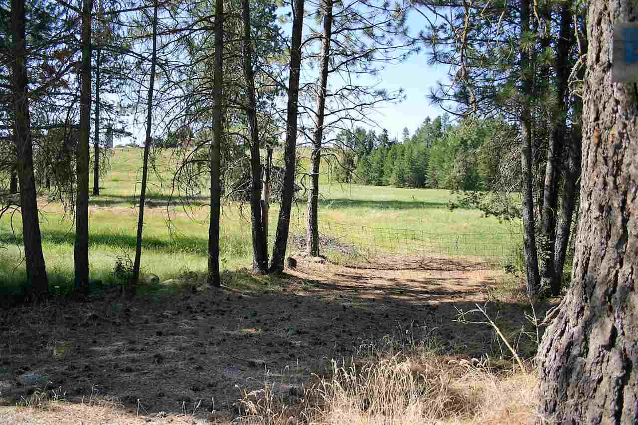 8115 East Valley Road Elk, WA 99009 - Photo 4 of 5