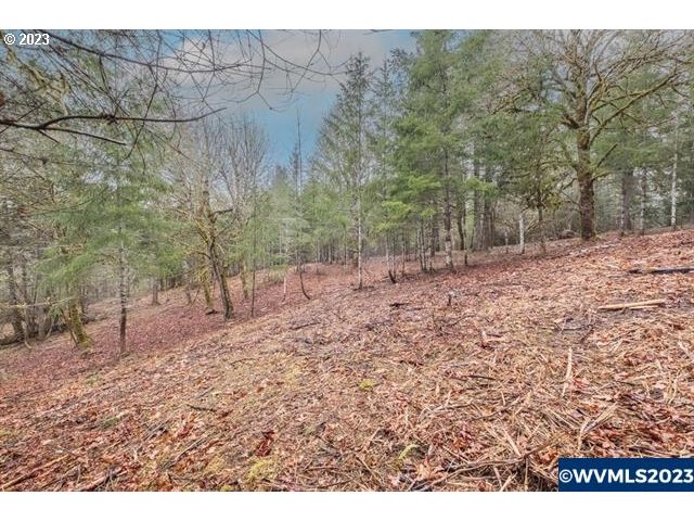 6057 Treehouse Road Monmouth, OR 97361 - Photo 23 of 32 a view of a yard with trees in the background