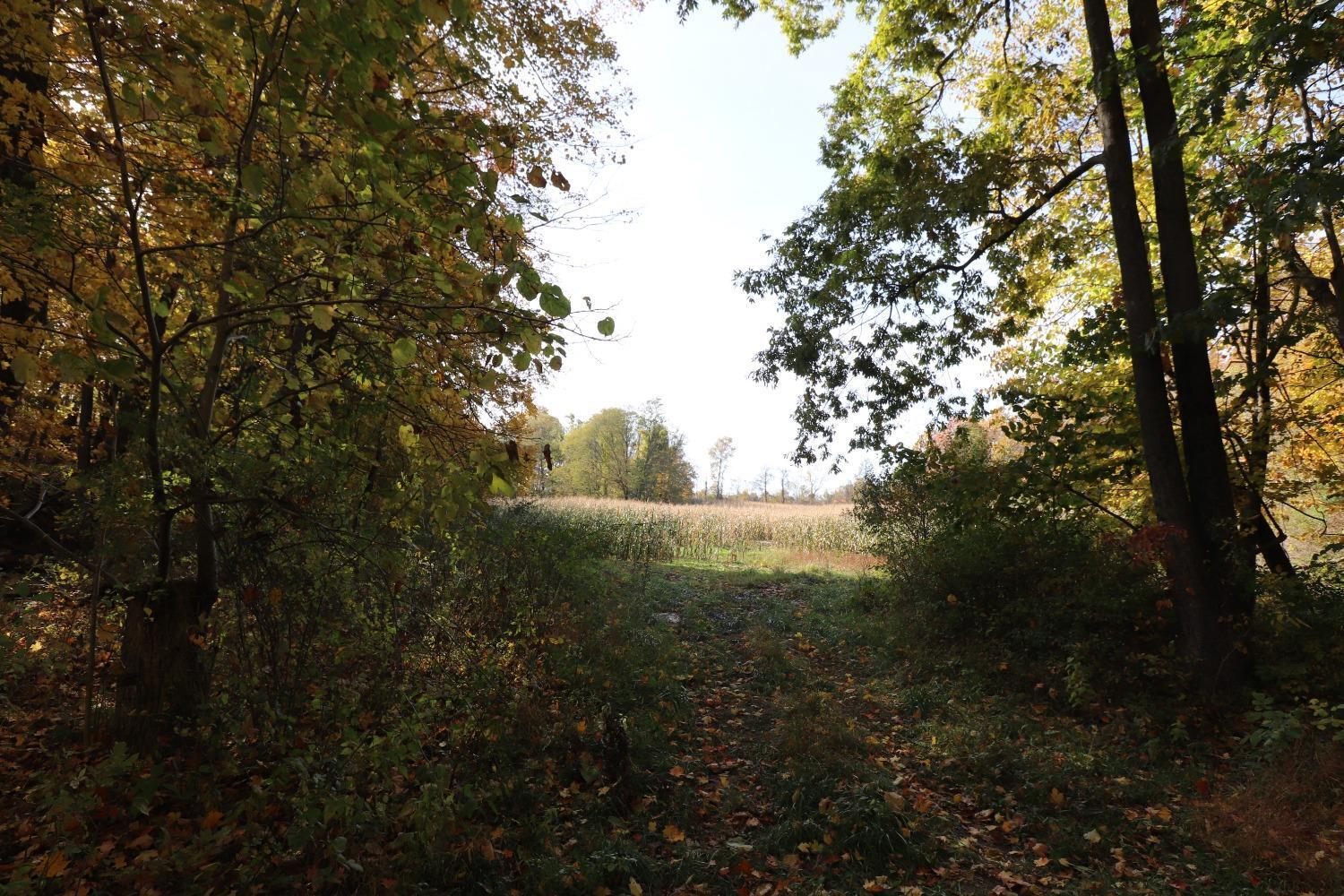 0 Blue Road Mount Vernon, OH 43050 - Photo 23 of 24