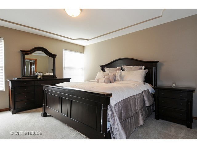 503 Goodwin Drive, Unit 503 Bolingbrook, IL 60440 - Photo 6 of 10 a bedroom with a bed and a dresser