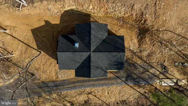 a close up of a plant with a forest